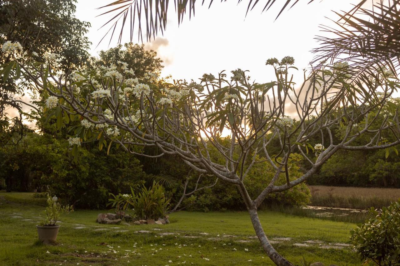 Pousada Lagoa Da Pedra Imbassai Exterior photo